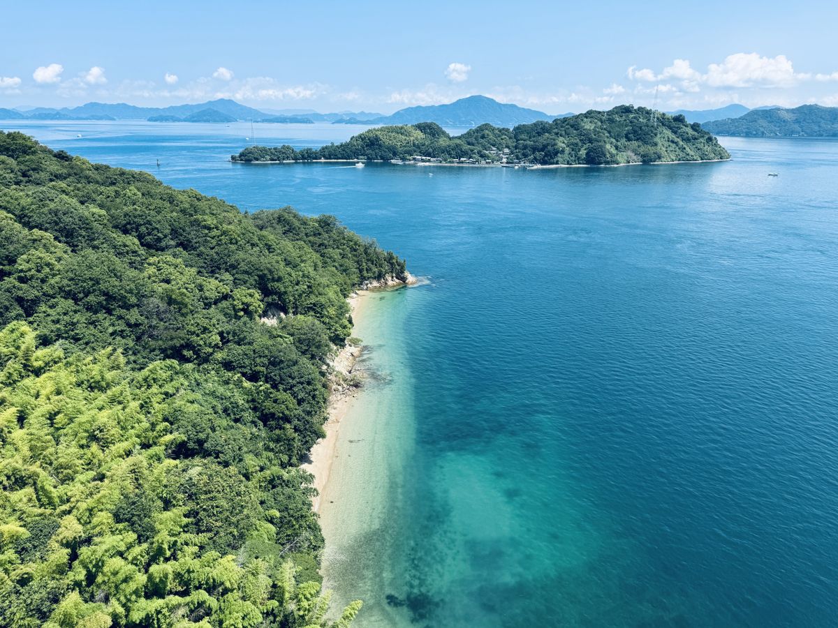 橋の上から見下ろす青い海