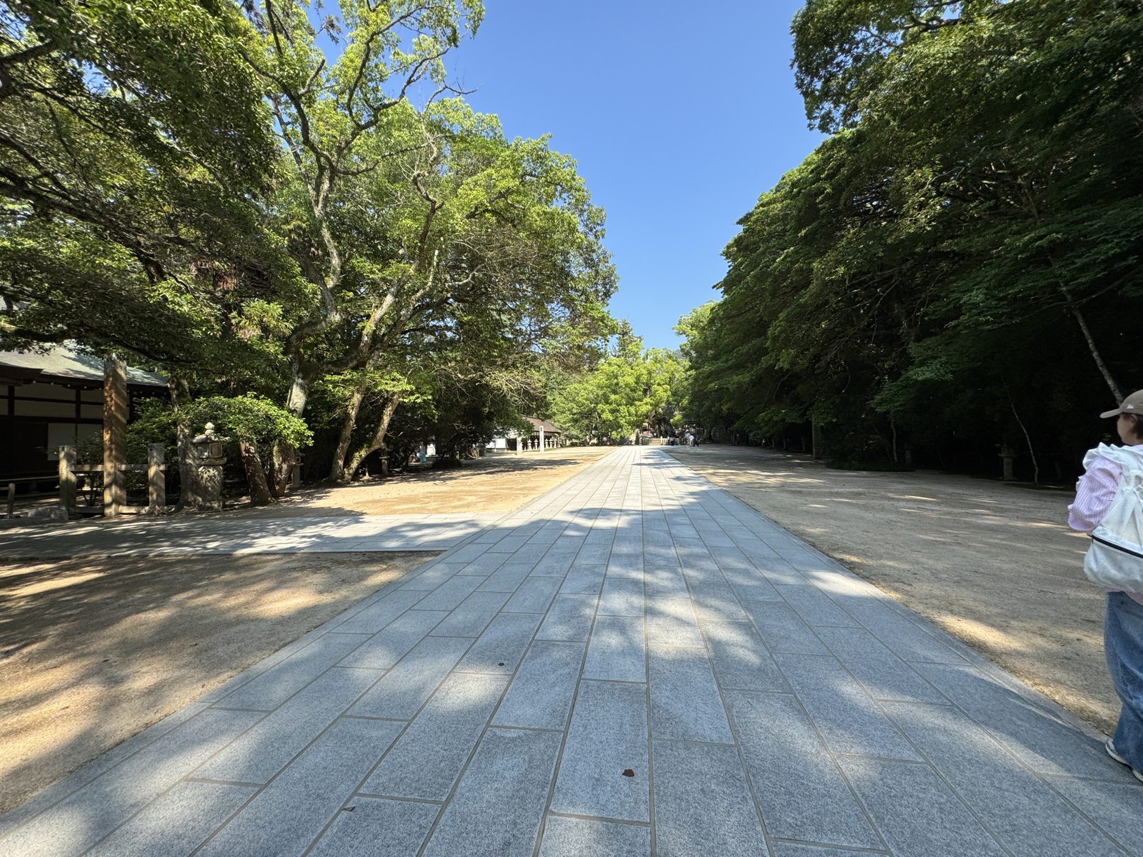 楠の木陰が続く参道
